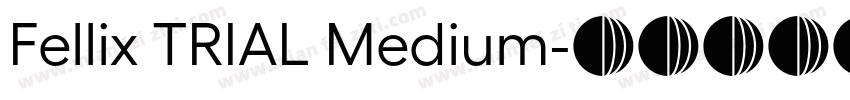 Fellix TRIAL Medium字体转换